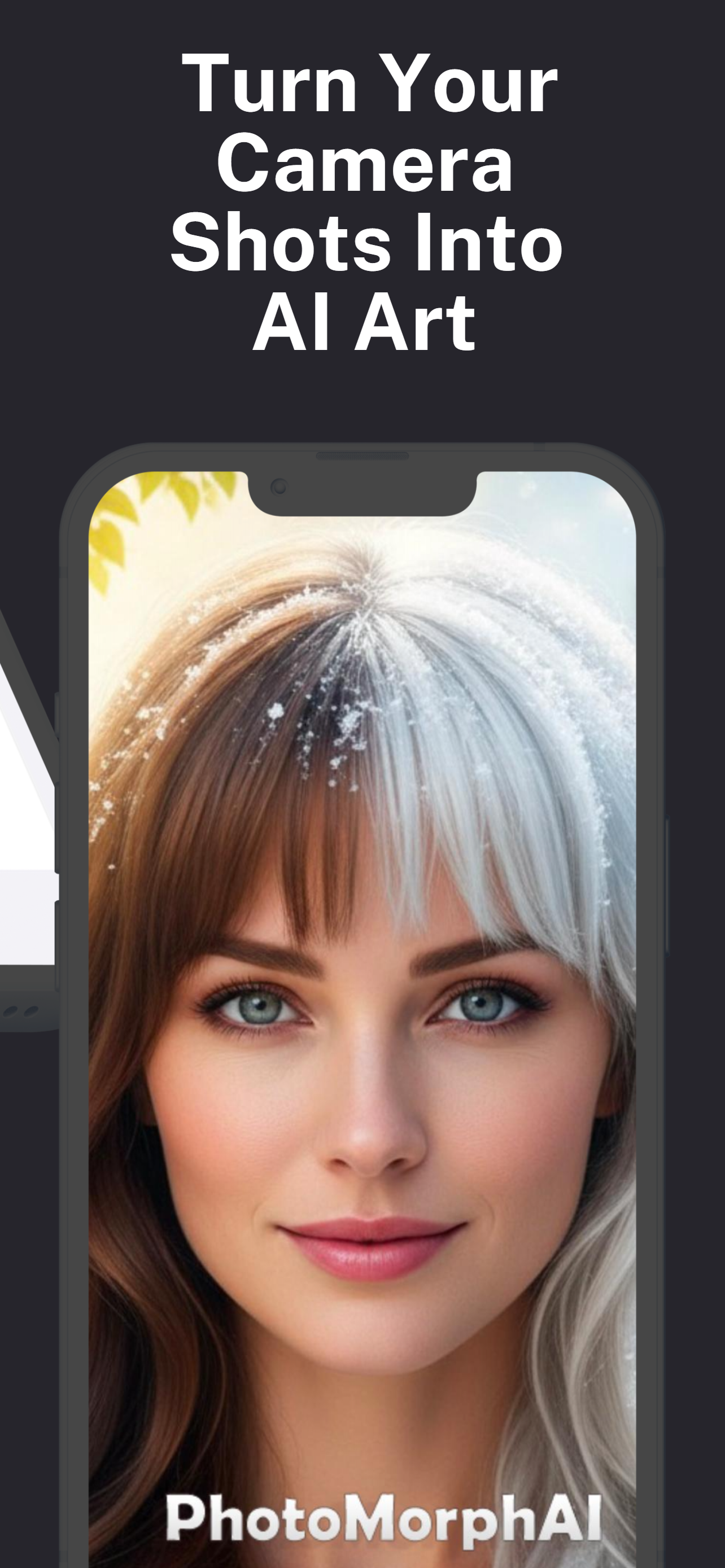 PhotoMorph Screenshot 2